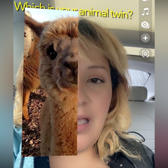 Meet your Posher, Lydia - Picture 4 of 10